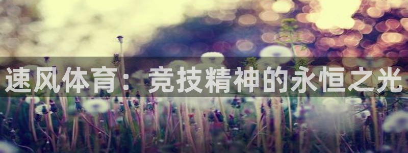 速风体育：竞技精神的永恒之光