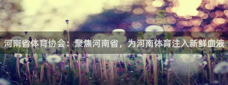 河南省体育协会：聚焦河南省，为河南体育注入新鲜血液
