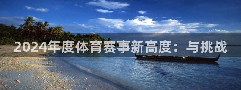 2024年度体育赛事新高度：与挑战