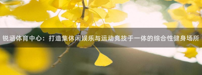 锐涵体育中心：打造集休闲娱乐与运动竞技于一体的综合性健身场所