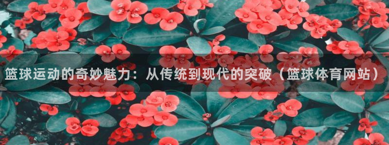 篮球运动的奇妙魅力：从传统到现代的突破（篮球体育网站）