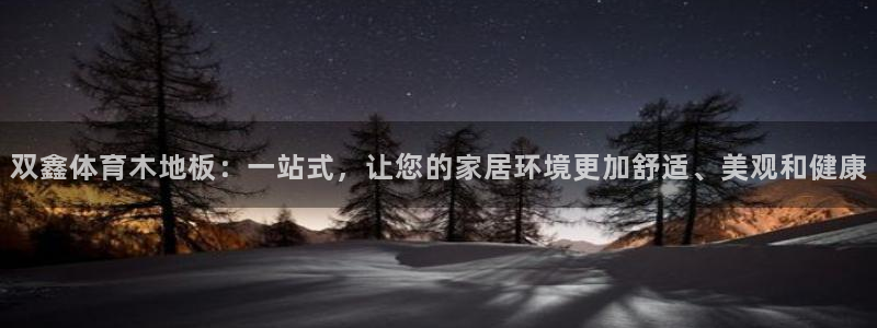 双鑫体育木地板：一站式，让您的家居环境更加舒适、美观和健康