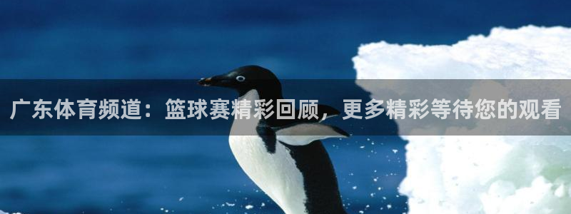 广东体育频道：篮球赛精彩回顾，更多精彩等待您的观看
