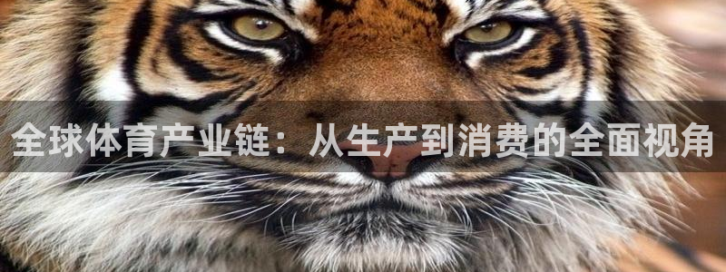 全球体育产业链：从生产到消费的全面视角