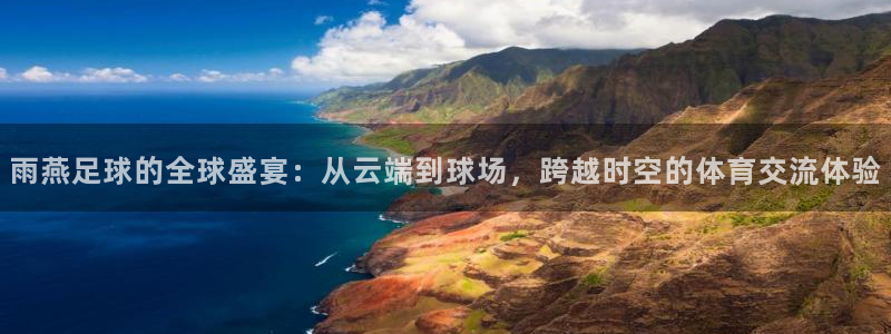 雨燕足球的全球盛宴：从云端到球场，跨越时空的体育交流体验