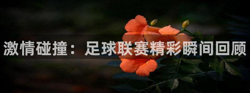 激情碰撞：足球联赛精彩瞬间回顾
