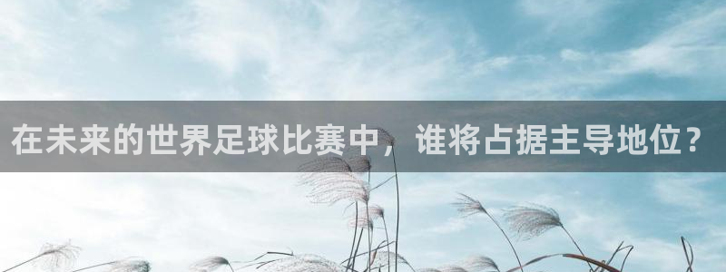 手机即时比分足球捷报：在未来的世界足球比赛中，谁将占据主导地位？