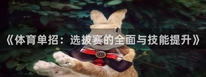球探足球即时比分捷报网：《体育单招：选拔赛的全面与技能提升》