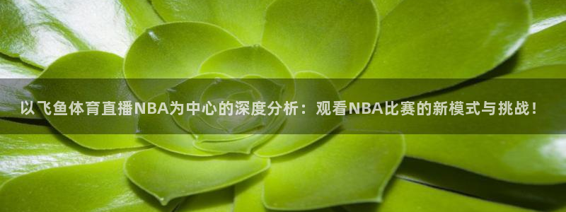 球探比分即时足球比分捷报love′土伦：以飞鱼体育直播NBA为中心的深度分析：观看NBA比赛的新模式与挑战！