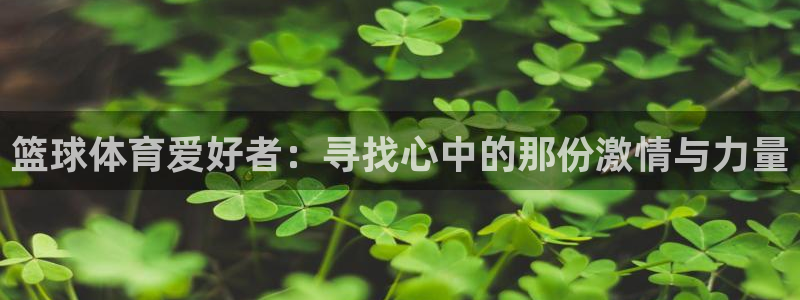 球探比分捷报批分
