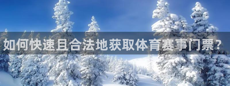 捷报足球直播比分