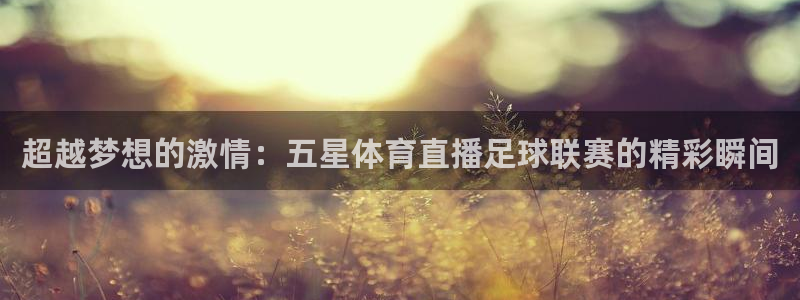 足球捷报即时比分热：超越梦想的激情：五星体育直播足球联赛的精彩瞬间