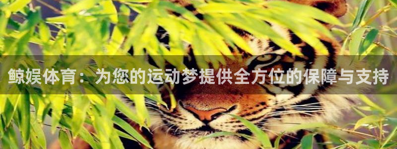 捷报网球比分即时网：鲸娱体育：为您的运动梦提供全方位的保障与支持