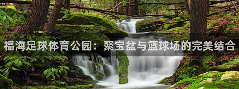 捷报足球比赛即时比分预测：福海足球体育公园：聚宝盆与篮球场的完美结合