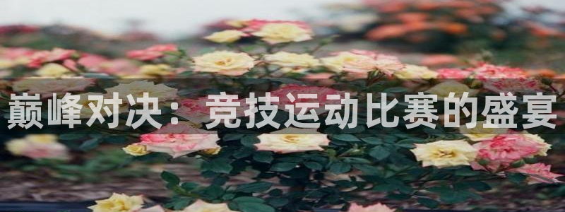 体球网手机比分即时比分捷报：巅峰对决：竞技运动比赛的盛宴